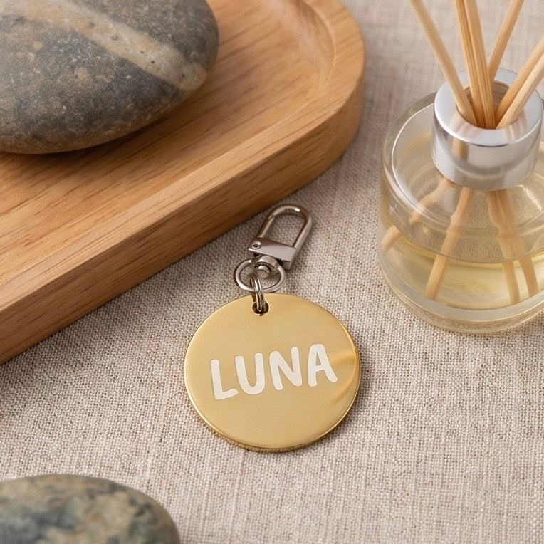 Custom Engraved Stainless Steel Pet ID Tag