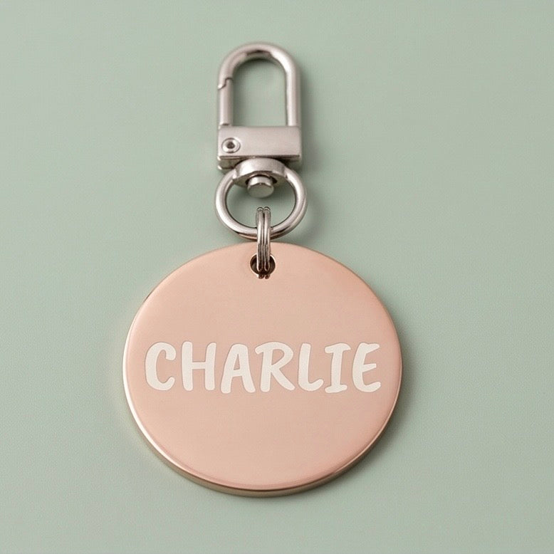 Custom Engraved Stainless Steel Pet ID Tag